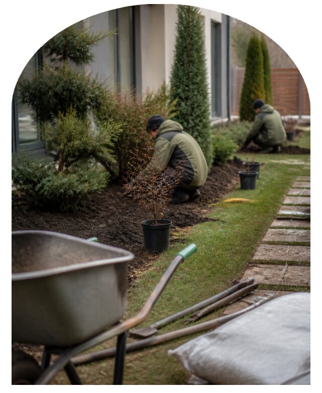 Комплексное озеленение территорий и участков в Ленинске-Кузнецком